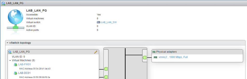 Get Internet To Homelab VMware Port Group